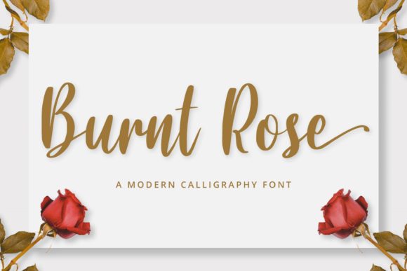 Burnt Rose Font: Bold & Classy