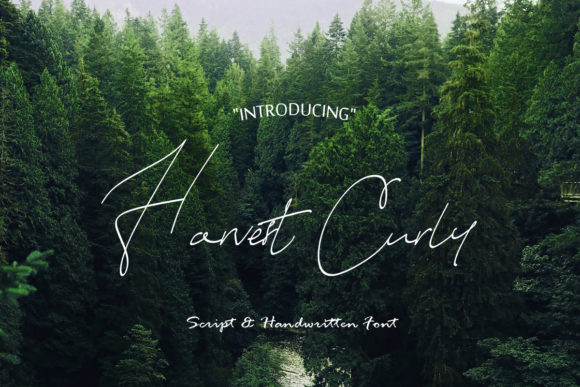 Harvest Curly Font for Editorial Design